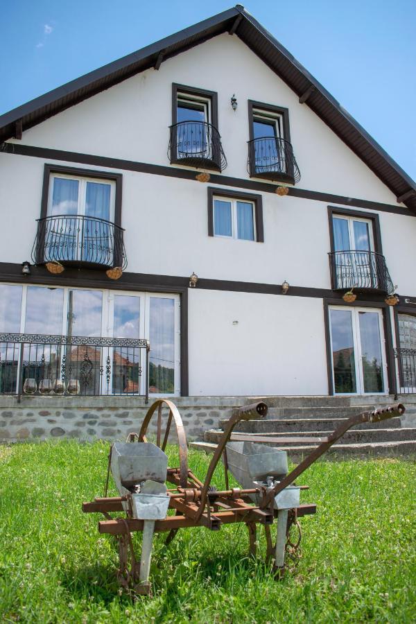 Отель Casa Nevada Куртя-де-Арджеш Экстерьер фото