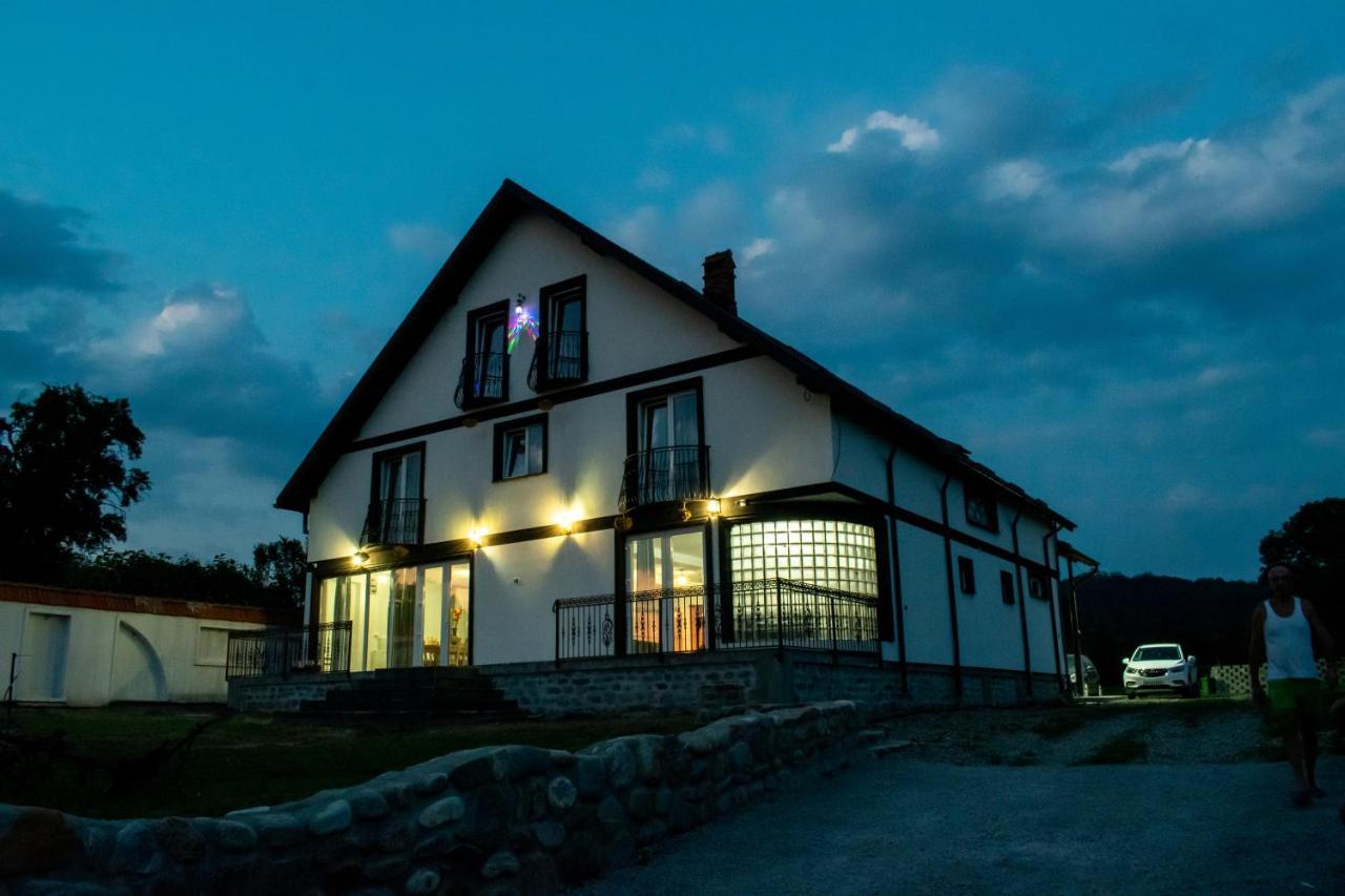 Отель Casa Nevada Куртя-де-Арджеш Экстерьер фото